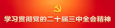 学习贯彻党的二十届三中全会精神